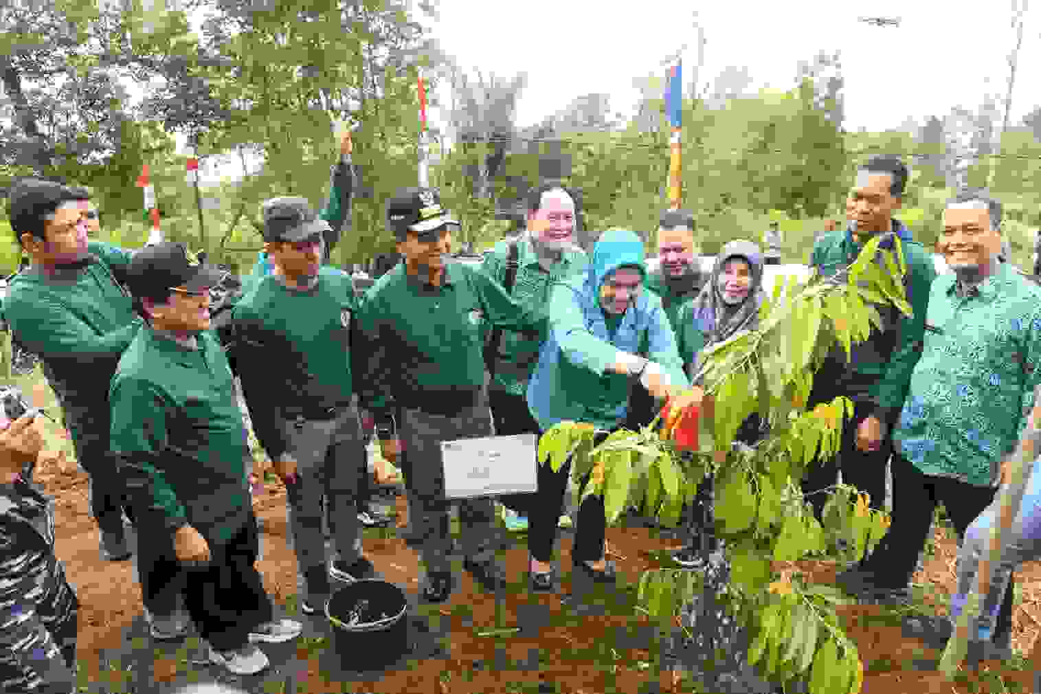 Rehabilitasi Lahan Kritis, Pj Gubernur Terus Dorong Gerakan Penanaman Pohon Berkesinambungan di Sumut*