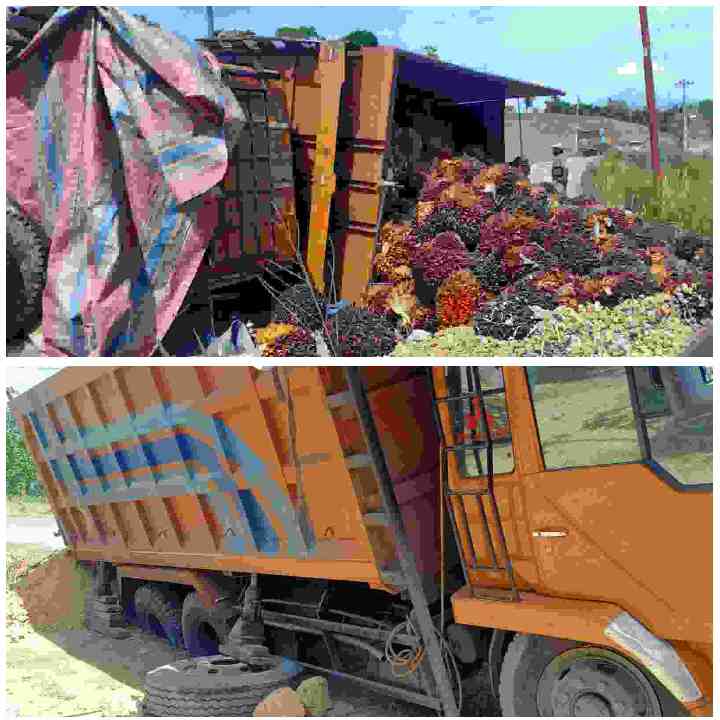 Truk pengangkut sawit terbalik di jalan nasional Kabanjahe Tigabinanga.