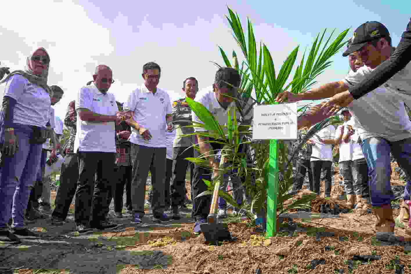 PTPN IV Regional I Lakukan Penanaman Perdana Program Peremajaan Sawit Rakyat (PSR) Jalur Kemitraan Perkebunan Areal Ex Plasma di Kebun Aek Raso