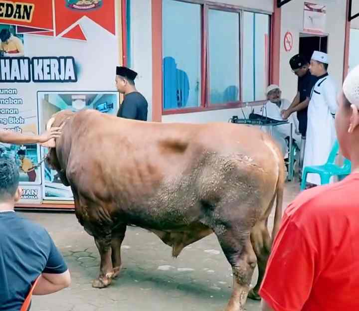 Pererat Silaturrahmi dan Peduli Terhadap Sesama, Rutan Kelas I Medan Laksanakan Pemotongan Hewan Kurban