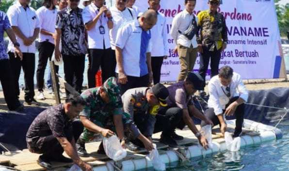 Pj Bupati Langkat Faisal Hasrimy Resmikan Klaster Budidaya Udang Vaname Intensif