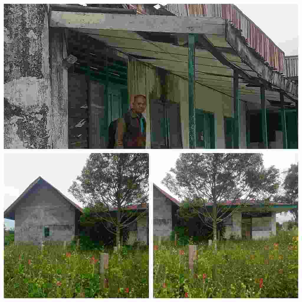 Penampakan Eks Gedung Balai penyuluhan Pertanian Desa Tigapancur kec. Simpang Empat Tak Terawat