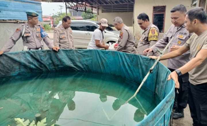 Kapolsek Hinai Dukung Ketahanan Pangan dengan Budidaya Ikan Lele