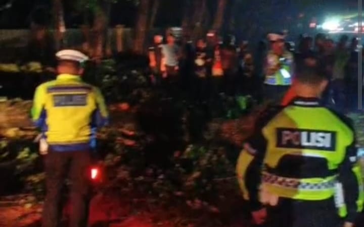 Langkah Cepat Satlantas Polres Langkat Saat Pohon Tumbang Lumpuhkan Jalan